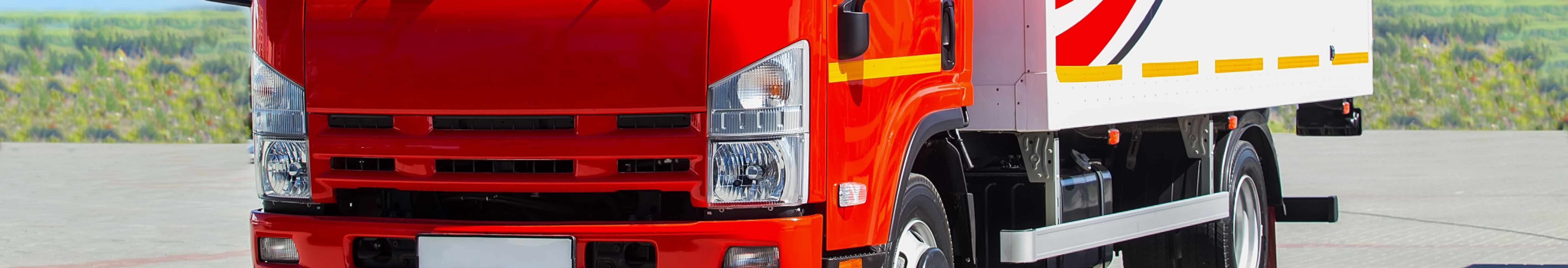 Light Bus And Truck Road Worthy Checks